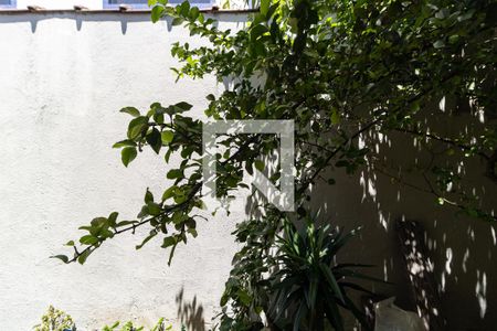 Casa à venda com 252m², 3 quartos e 3 vagas Casa à venda com 252m², 3 quartos e 3 vagasVista do Quarto 2