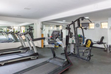 Apartamento à venda com 115m², 3 quartos e 1 vaga Apartamento à venda com 115m², 3 quartos e 1 vagaÁrea comum - Academia