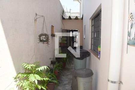 Apartamento à venda com 100m², 3 quartos e 2 vagasQuintal