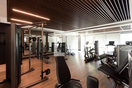 Apartamento à venda com 374m², 5 quartos e 5 vagasÁrea comum - Academia