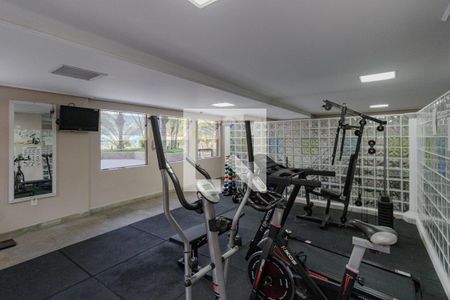 Apartamento para alugar com 80m², 4 quartos e 1 vagaÁrea comum - Academia