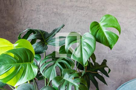 Apartamento à venda com 50m², 1 quarto e 1 vagaQuarto 