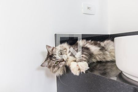 Casa de condomínio à venda com 554m², 4 quartos e 4 vagas Casa de condomínio à venda com 554m², 4 quartos e 4 vagasDetalhe do Banheiro da Suite