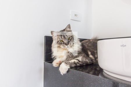 Casa de condomínio à venda com 554m², 4 quartos e 4 vagas Casa de condomínio à venda com 554m², 4 quartos e 4 vagasBanheiro da Suíte 4