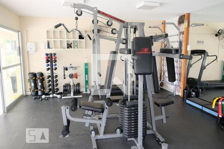 Apartamento para alugar com 53m², 2 quartos e sem vaga Apartamento para alugar com 53m², 2 quartos e sem vagaÁrea comum - Academia