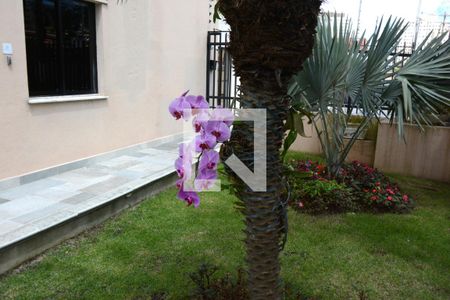 Apartamento para alugar com 54m², 2 quartos e 1 vagaÁrea comum