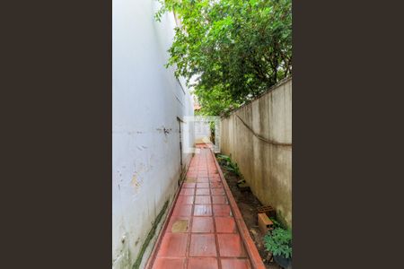 Casa à venda com 160m², 3 quartos e 2 vagas Casa à venda com 160m², 3 quartos e 2 vagasQuintal