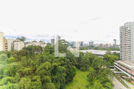 Vista da Varanda de apartamento para alugar com 2 quartos, 98m² em Paraíso do Morumbi, São Paulo