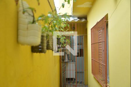 Casa para alugar com 196m², 4 quartos e 2 vagasQuintal