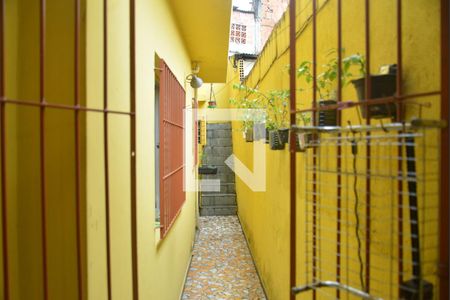 Casa para alugar com 196m², 4 quartos e 2 vagasQuintal