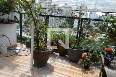 Apartamento à venda com 222m², 3 quartos e 2 vagasJardim da Suíte 4 - piso superior