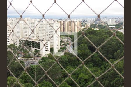 Quarto 1 - Vista de apartamento à venda com 2 quartos, 50m² em Jardim Íris, São Paulo