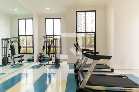 Apartamento para alugar com 67m², 2 quartos e 2 vagas Apartamento para alugar com 67m², 2 quartos e 2 vagasÁrea comum - Academia