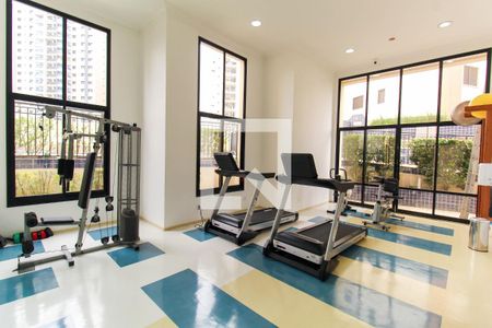 Apartamento para alugar com 67m², 2 quartos e 2 vagas Apartamento para alugar com 67m², 2 quartos e 2 vagasÁrea comum - Academia