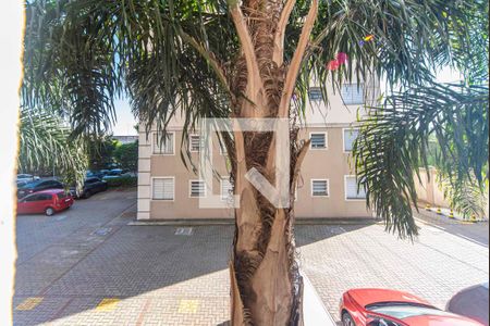 Vista do Quarto 1 de apartamento para alugar com 2 quartos, 45m² em Vila Homero Thon, Santo André