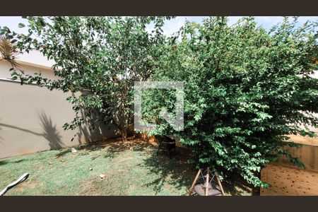 Casa de condomínio à venda com 445m², 3 quartos e 2 vagas Casa de condomínio à venda com 445m², 3 quartos e 2 vagasQuintal