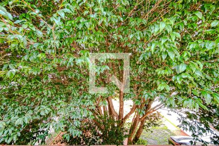 Casa à venda com 600m², 8 quartos e 15 vagasVaranda