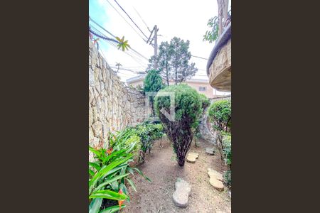 Casa para alugar com 396m², 3 quartos e 6 vagasÁrea externa