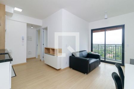 Sala de apartamento para alugar com 2 quartos, 44m² em Santo Amaro, São Paulo
