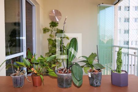Apartamento à venda com 70m², 2 quartos e 1 vaga Apartamento à venda com 70m², 2 quartos e 1 vagaVaranda da sala