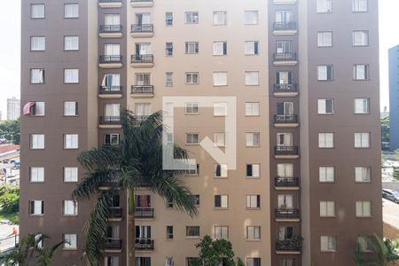 Apartamento à venda com 56m², 2 quartos e 1 vagaVista do Quarto 2