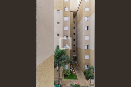 Apartamento à venda com 70m², 3 quartos e sem vagaVista do Quarto 1