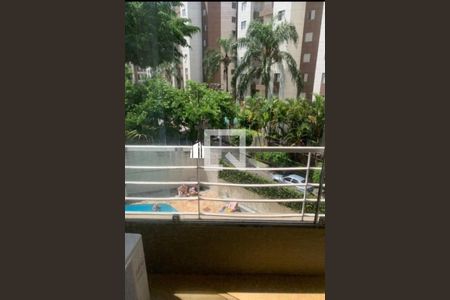 Apartamento à venda com 2 quartos, 50m² em Vila Amélia, São Paulo