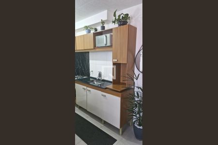 Cozinha de apartamento para alugar com 2 quartos, 37m² em Vila Prudente, São Paulo