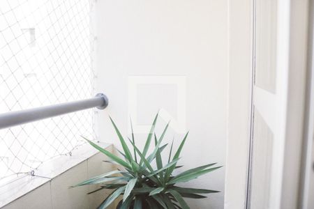 Varanda da Sala de apartamento para alugar com 3 quartos, 67m² em Vila Nova Cachoeirinha, São Paulo