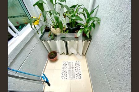 jardim de inverno  de casa de condomínio à venda com 2 quartos, 85m² em Vila Dom Pedro Ii, São Paulo