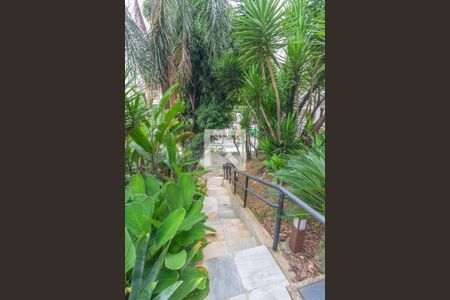 Apartamento à venda com 283m², 5 quartos e 4 vagas Apartamento à venda com 283m², 5 quartos e 4 vagasFoto 30