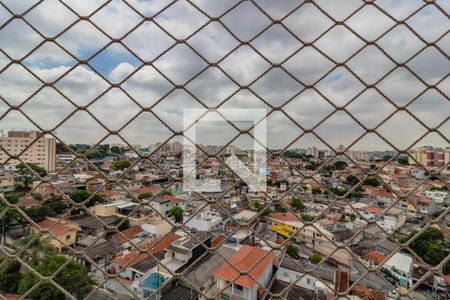 Apartamento para alugar com 67m², 2 quartos e 1 vaga Apartamento para alugar com 67m², 2 quartos e 1 vagaÁrea de Serviço vista