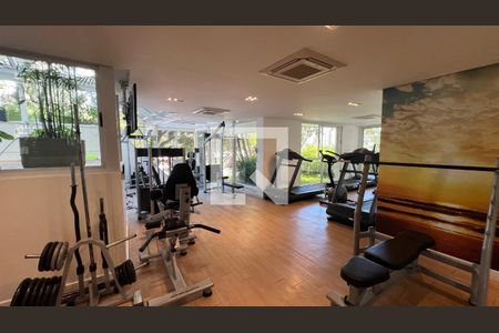 Apartamento à venda com 266m², 4 quartos e 4 vagas Apartamento à venda com 266m², 4 quartos e 4 vagasAcademia