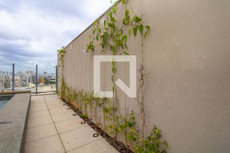 Apartamento para alugar com 38m², 1 quarto e sem vaga Apartamento para alugar com 38m², 1 quarto e sem vagaÁrea comum - Cobertura