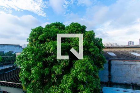 Apartamento para alugar com 2 quartos, 47m² em Vila Ivone, São Paulo