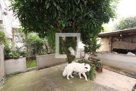 Casa à venda com 330m², 4 quartos e 6 vagasQuintal