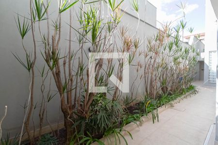 Casa para alugar com 350m², 6 quartos e 2 vagasCorredor lateral