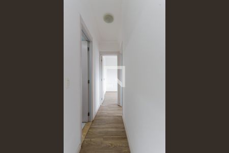 Corredor Quartos de apartamento para alugar com 2 quartos, 62m² em Vila Gustavo, São Paulo