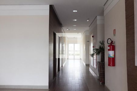 Apartamento à venda com 74m², 3 quartos e 2 vagas Apartamento à venda com 74m², 3 quartos e 2 vagasHall