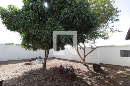 Casa para alugar com 139m², 2 quartos e 4 vagasQuintal