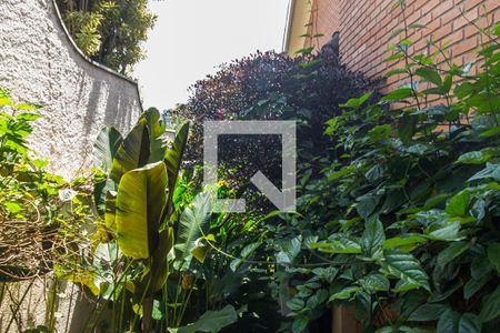 Casa de condomínio à venda com 400m², 5 quartos e 4 vagas Casa de condomínio à venda com 400m², 5 quartos e 4 vagasQuintal