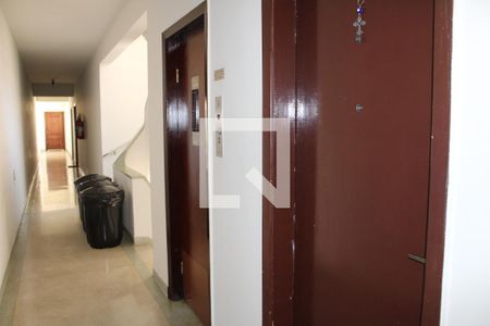 Apartamento à venda com 113m², 3 quartos e sem vagaCorredor / Elevador novinho