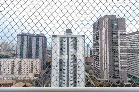Vista da Varanda de apartamento para alugar com 2 quartos, 59m² em Tatuapé, São Paulo