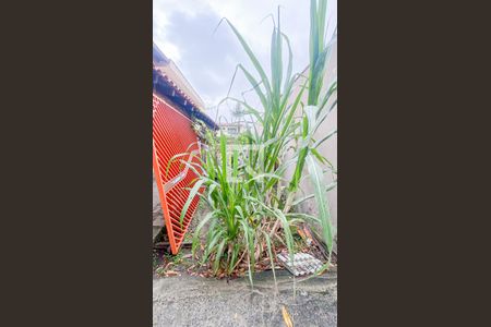 Casa à venda com 400m², 3 quartos e 2 vagasQuintal - Garagem