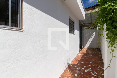 Casa à venda com 300m², 3 quartos e 2 vagasCorredor Lateral