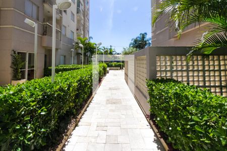 Apartamento à venda com 54m², 3 quartos e 1 vaga Apartamento à venda com 54m², 3 quartos e 1 vagaÁrea comum