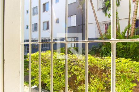 Vista do Quarto 1 de apartamento para alugar com 2 quartos, 48m² em Itaquera, São Paulo