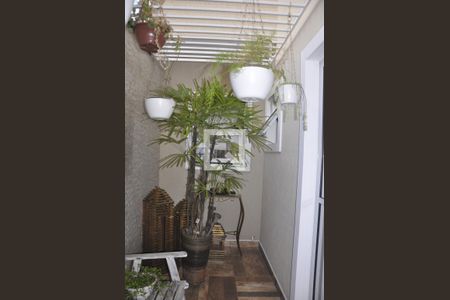 Casa para alugar com 250m², 3 quartos e 5 vagasJardim de inverno