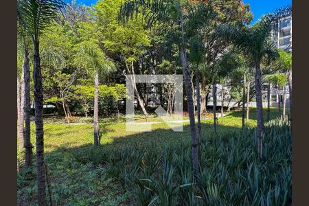 Apartamento para alugar com 84m², 3 quartos e 2 vagasÁrea Comum