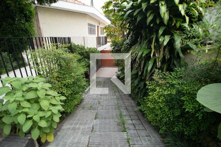 Casa à venda com 460m², 6 quartos e 5 vagas